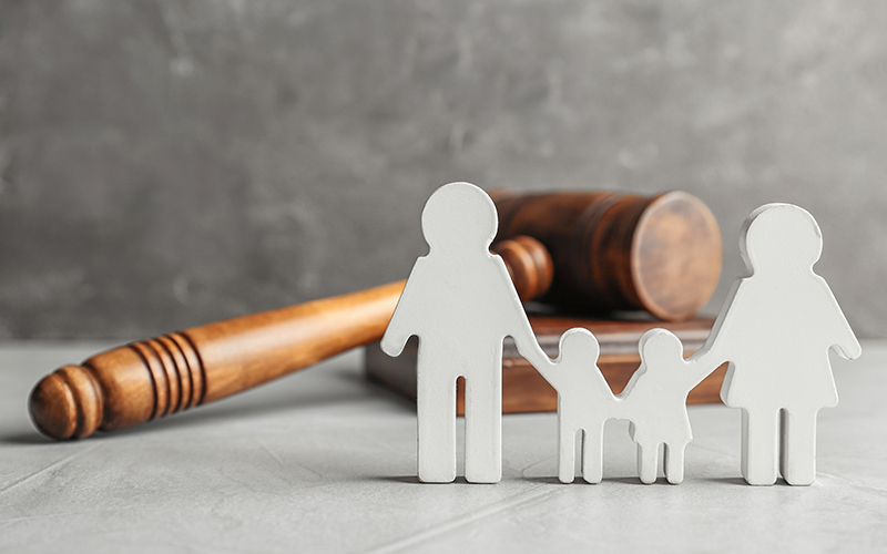 Derecho Civil y Familiar